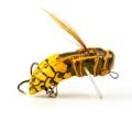 IMAGO LURES HORNET 