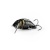 Воблер IMAGO LURES MAYBUG 3.5F Surface, 2,5гр.