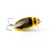Воблер IMAGO LURES DIVING BEETLE 4F (плавающий), 2,9гр. цвет - BN Воблер IMAGO LURES DIVING BEETLE 4F (плавающий), 2,9гр. цвет - BN