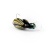 Воблер IMAGO LURES BIG MAMA 3.5F (плавающий), 3,5гр. цвет - BK Воблер IMAGO LURES BIG MAMA 3.5F (плавающий), 3,5гр. цвет - BK