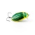 Воблер IMAGO LURES DIVING BEETLE 3.5S (тонущий), 3гр. цвет - DG Воблер IMAGO LURES DIVING BEETLE 3.5S (тонущий), 3гр. цвет - DG