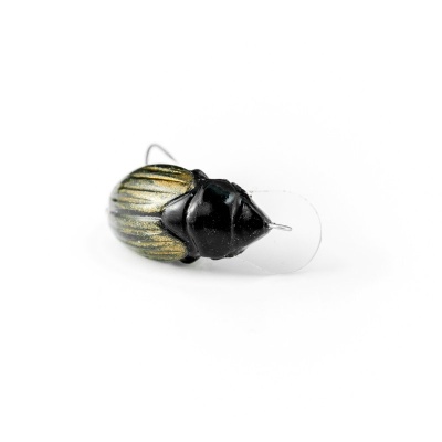 Воблер IMAGO LURES MAYBUG 3.5F Surface, 2,5гр.